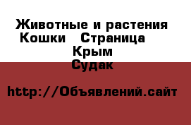 Животные и растения Кошки - Страница 2 . Крым,Судак